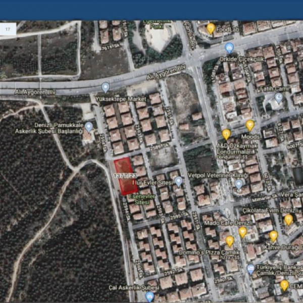 Çamlık Bölgesinin En Gözde Orman Manzaralı Arsası SATILIKTIR