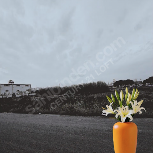 C21 LOFT'tan Sanayinin En Değerli Noktasında Stratejik Arsa