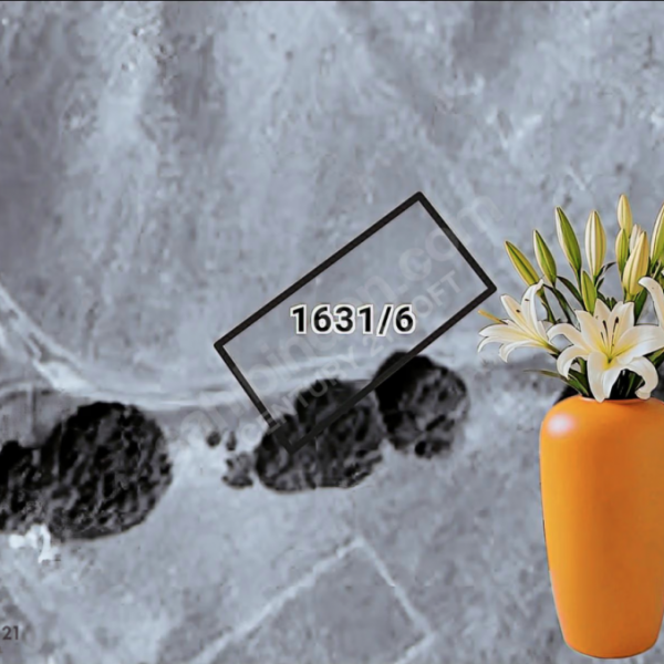 C21 LOFT'tan Didim Akyeniköy Bozsekide Villa İmarlı 300m² Arsa