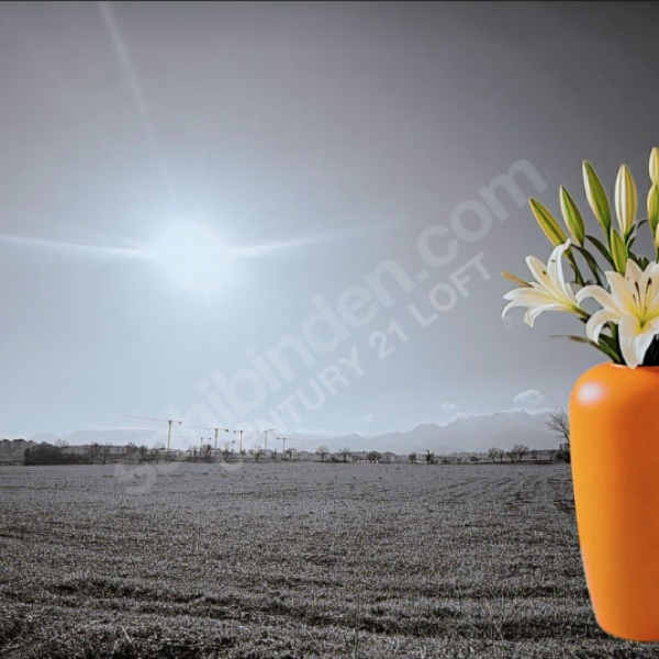 C21 LOFT'tan Yeni Oyun Alanınız, 6.070 m² Villalık Arsa