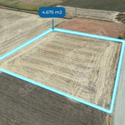 Tavas Solmaz Mahallesinde Satılık Tarla