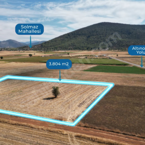 Tavas Solmaz Mahallesinde Satılık Tarla