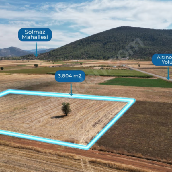 Tavas Solmaz Mahallesinde Satılık Tarla