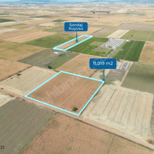 Tavas Solmaz Mahallesinde Satılık Tarla