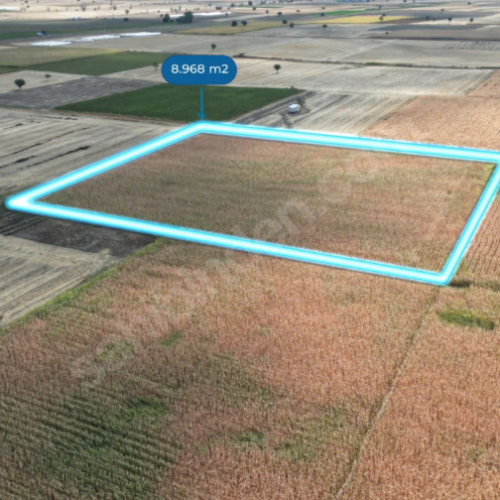 Tavas Solmaz Mahallesinde Satılık Tarla